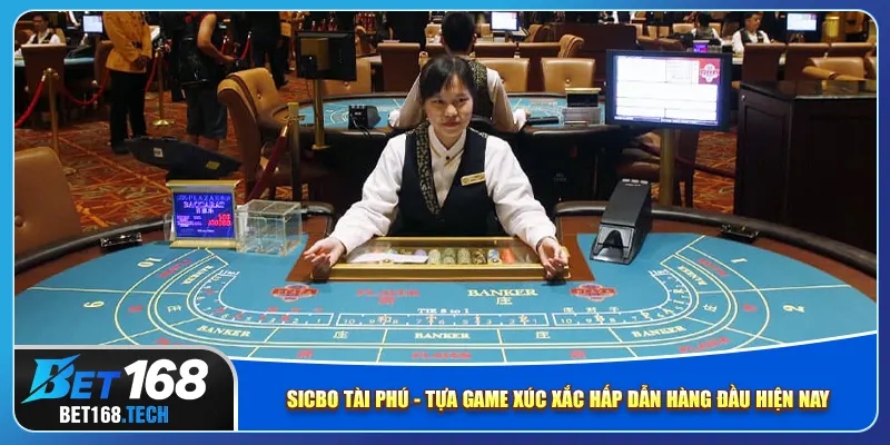 Sicbo tài phú - tựa game xúc xắc hấp dẫn hàng đầu hiện nay